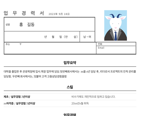 경력기술서